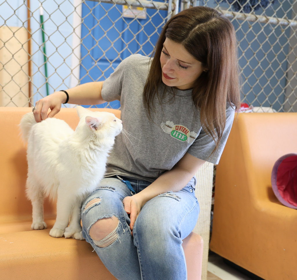 Volunteer Alyssa holding Frosty, a white and grey cat, at the Alaska Humane Society shelter